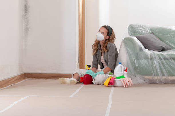 Reliable Mold Removal contractor in Kenvil, NJ by WQB Mold Removal